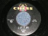 画像: GEMS - A LOVE OF MINE : THAT'S WHAT THEY PUTERERSERS OH PENCILS FOR (Northern/GIRL GROUP Like a MOTOWN SOUND )  (Ex++/Ex++  BB ) /  1964 US AMERICA ORIGINAL Used 7"45  Single