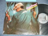 画像: PETER BROWN - STARGAZER (MINT-/MINT-) / 1979 US AMERICA  ORIGINAL Used LP   