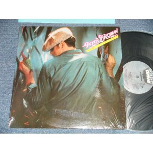 画像: PETER BROWN - STARGAZER (MINT-/MINT-) / 1979 US AMERICA  ORIGINAL Used LP   