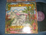 画像: RICHARD TORRANCE  - ANYTHING'S POSSIBLE (Ex+/Ex+++ BB for PROMO)  1978  US AMERICA ORIGINAL "PROMO" Used LP's 