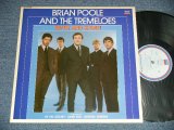 画像: BRIAN POOLE AND THE TREMELOES - TWIST AND SHOUT (Ex+++/MINT-)  / 1982  UK ENGLAND Used LP 