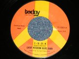 画像: LUCKY PETERSON BLUES BAND - 1-2-3-4 : GOOD OLD CANDY (BLUES ROCK) (Ex+++/Ex+++) /  1971 US AMERICA ORIGINAL Used  7"Single With 