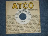 画像: TONY BARA - RAMBLIN' : LONG GONE MARE ( Ex++/Ex++ ) /  1960 US AMERICA ORIGINAL "WHITE LABEL PROMO" Used 7"45  Single