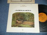 画像: TOM RAPP, PEARLS BEFORE SWINE - ...BEAUTIFUL LIES YOU COULD LIVE IN. (Ex+/MINT- WOL, EDSP, Tape Seam)  / 1971  US AMERICA ORIGINAL "1st Press BROWN with 'r' Logo on Top and STEREO at Bottom Label" Used  LP