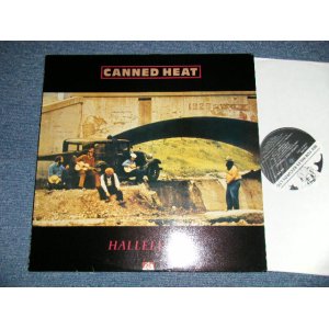 画像: CANNED HEAT - HALLELUJAH  (Ex+++/MINT) / 1989 UK ENGLAND Used LP