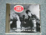 画像: The RUMBLE CATS - SOAKING IN A HOT TUB (NEW) / 1991 HOLLAND  ORIGINAL"Brand New"  CD  