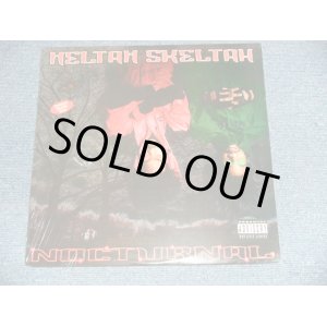 画像: HELTAH SKELTAH  - NOCTURNAL (SEALED)  / 1996 US AMERICA ORIGINAL  "BRAND NEW SEALED" 2-LP's 