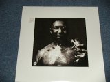 画像: MUDDY WATERS  - AFTER THE RAIN (SEALED)  / 2011 US AMERICA  ORIGINAL "BRAND NEW SEALED"  LP 