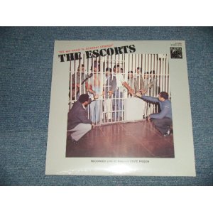 画像: THE ESCORTS - ALL WE NEED IS ANOTHER CHANCE  (SEALED) / US AMERICA REISSUE  "BRAND NEW SEALED"  LP 