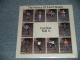 画像: The VOICES OF EAST HARLEM (LEROY HUTSON) - CAN YOU FEEL IT  ( SEALED )  /  US AMERICA REISSUE "BRAND NEW SEALED" LP