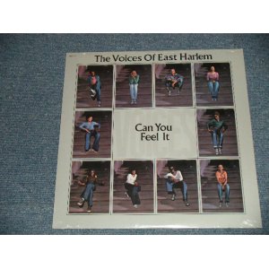 画像: The VOICES OF EAST HARLEM (LEROY HUTSON) - CAN YOU FEEL IT  ( SEALED )  /  US AMERICA REISSUE "BRAND NEW SEALED" LP