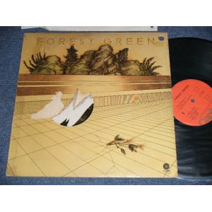 画像: FOREST GREEN - FOREST GREEN (Ex/Ex+++ BB for PROMO)  / 1973 US AMERICA ORIGINAL Used LP