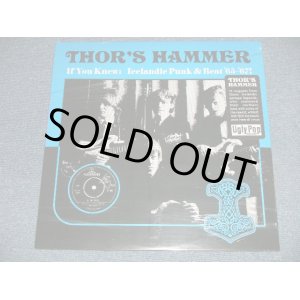 画像: THOR'S HAMMER - IF YOU KNEW : ICELANDIE PUNK & BEAT '65-'67! (SEALED)  /  2014 CANADA ORIGINAL "BRAND NEW SEALED" LP 