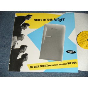 画像: SIR BALD DIDDLEY and His RIGHT HONOURABLE BIG WIG - WHAT'S IN YOUR FDIDGE  (NEW )  /  1994 UK ENGLAND ORIGINAL "BRAND NEW"  LP  