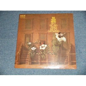 画像: The NEW BIRTH - AIN'T NO BIG THING BUT IT'S CROWING (SEALED)  / US AMERICA  REISSUE "BRAND NEW SEALED"LP