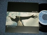 画像: PEARL JAM - GIVEN TO FLY  (NEW) / 1997 US AMERICA ORIGINAL "BRAND NEW" 7" 45rpm  Single 