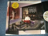 画像: HOWARD JOHNSON (Ex: NITEFLYTE) - THE VISION (MINT-/Ex+++)  /1985 US AMERICA ORIGINAL Used LP 