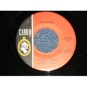 画像: The DANTES - A) UNDER MY THUMB  B) CAN I GET A WITNESS ( Ex/Ex++)  / 1966 US AMERICA ORIGINAL "PROMO" Used 7" Single 