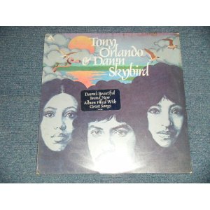 画像: TONY ORLANDO & DAWN - SKYBIRD  (SEALED Cut Out, WTRDMG) / 1975 US AMERICA ORIGINAL "BRAND NEW SEALED" LP