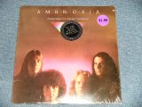 画像: Ambrosia - Somewhere I've Never Travelled (SEALED) /  US AMERICA REISSUE "BRAND NEW SEALED" LP