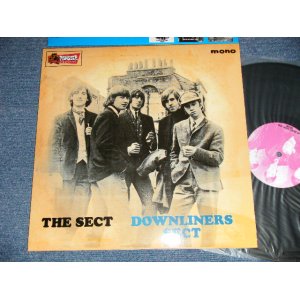 画像: DOWNLINERS SECT - THE SECT (MINT/MINT) / 2002 SPAIN  REISSUE "180 Gram Heavy Weight" Used LP