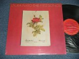 画像: LAURA NYRO - 　THE FIRST SONGS (Reissue of VERVE FORECAST  FTS-3020) (MINT/MINT- Looks:MINT)   /  197? US AMERICA REISSUE Used  LP