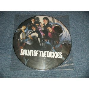 画像: THE DICKIES -DAWN OF THE DICKIES  (NEW) / 2001 UK ENGLAND  REISSUE "PICTURE DISC Version"  "BRAND NEW" LP