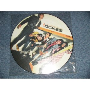 画像: THE DICKIES - THE INCREDIBLE SHRINKING  (NEW) / 2000 UK ENGLAND  REISSUE "PICTURE DISC Version"  "BRAND NEW" LP