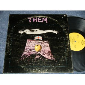 画像: THEM - THEM (VG+++, Ex/Ex+ A-1,B-1:VG+++ EDSP, WARP) /  1969 US AMERICA ORIGINAL Used  LP 