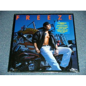 画像: FREEZE - FREEZE (SEALED) / 1991 US AMERICA ORIGINAL "BRAND NEW SEALED" LP  