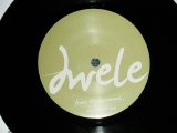 画像: Dwele (NEO SOUL/DOWN TEMPO)  ‎- A)From The Basement... B) Lady (NEW) / 2006 US AMERICA ORIGINAL "LIMITED #390 / 1000" "BRAND NEW" 7" 45 rpm Single  