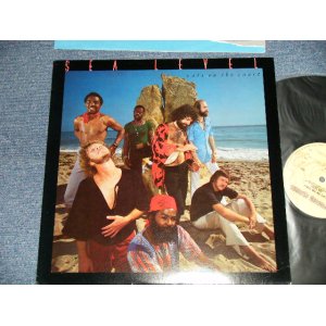 画像: SEA LEVEL (CHUCK LEAVELL of ALLMAN BROS.) - CATS ON THE COAST (Ex+++/MINT-) / 1977 US AMERICA ORIGINAL "With CUSTOM INNER" Used LP 