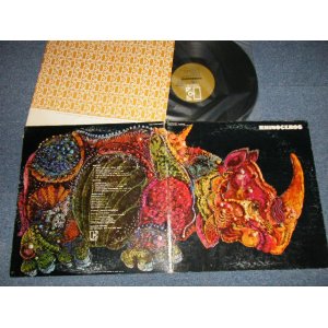 画像: RHINOCEROS - RHINOCEROS (Ex++/MINT-) / 1968 US AMERICA ORIGINAL 1st Press "GOLD Label" Used LP