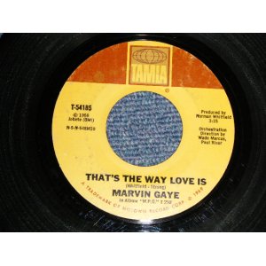 画像: MARVIN GAYE - A) THAT'S THE WAY LOVE IS  B) GONNA KEEP ON TRYIN' TILL I WIN YOUR LOVE (Ex+/Ex++ STOL) / 1969 US AMERICA ORIGINAL Used 7" 45 rpm Single  