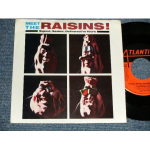 画像: CALIFORNIA RAISINS - A) Signed, Sealed, Delivered I'm Yours  B) Green Onions (Ex+/Ex+++) / 1986 US AMERICA ORIGINAL Used 7" 45 rpm Single With PICTURE SLEEVE 