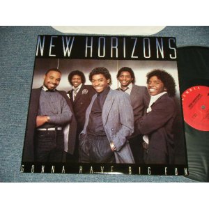 画像: NEW HORIZONS - GONNA HAVE BIG FUN (MINT/MINT-) / US AMERICA REISSUE Used LP