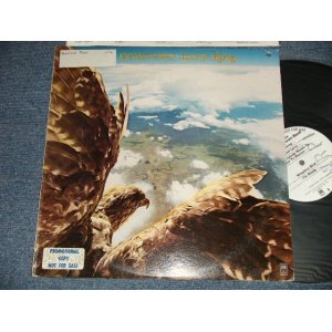 画像: HOMETOWN BAND - FLYING (Ex++MINT- BB For PROMO, STOFC, STOL) / 1976 US AMERICA ORIGINAL "WHITE LABEL PROMO"" Used LP 