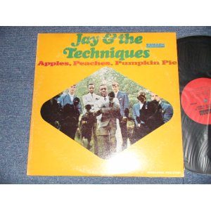 画像: JAY & THE TECHNIQUES - APPLES, PEACHES, PUMPKIN PIE (Ex+/Ex+++ EDSP) / 1967 US AMERICA ORIGINAL MONO Used LP