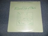 画像: STEVIE WONDER - JOURNEY THROUGH THE SECRET LIFE OF PLANETS (SEALED Cutout) / 1979 US AMERICA  ORIGINAL 1st Press "EMBOSSED Jacket" "BRAND NEW SEALED"  2-LP  