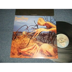 画像: DIXIE DREGS - DRESS OF THE EARTH (Ex++/MINT- CUTOUT for PROMO) / 1980 US AMERICA ORIGINAL "PROMO" Used LP 