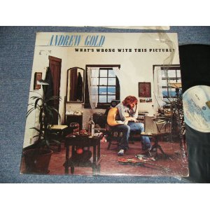 画像: ANDREW GOLD - WHAT'S WRONG WITH THIS PICTURE?  (Ex+++/Ex++ Looks:VG+++)  / 1976  US AMERICA ORIGINAL Used LP 