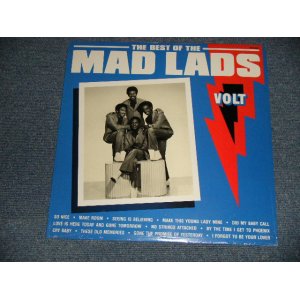 画像: MAD LADS - THE BEST OF (SEALED) / 1985 US AMERICA  ORIGINAL "BRAND NEW SEALED" LP