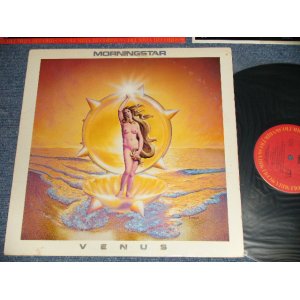 画像: MORNINGSTAR - VENUS (Ex++/MINT- B-1:Ex) / 1979 US AMERICA ORIGINAL Used LP 