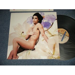 画像: PRINCE - LOVE SEXY : With ART INNER SLEEVE     (MINT-/MINT-) / 1988 US AMERICAORIGINAL Used LP