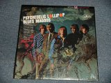 画像: BLUES MAGOOS - PSYCHEDELIC LOLLIPOP (SEALED) / US AMERICA REISSUE "Brand New SEALED" LP