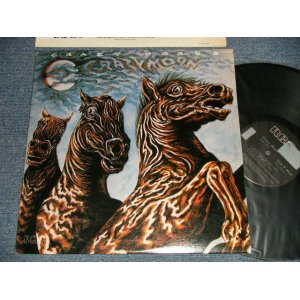 画像: CRAZY HORSE - CRAZY HORSE (Ex+++/MINT- STOL) / 1978 US AMERICA ORIGINAL Used LP 