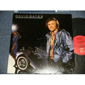 画像: DAVID GATES (of BREAD) - FALLING IN LOVE AGAIN (MINT-/MINT) / 1980 US AMERICA ORIGINAL Used LP 