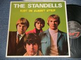 画像: THE STANDELLS - RIOT ON SUNSET STRIP (MINT-/MINT) /1983 FRANCE Used LP