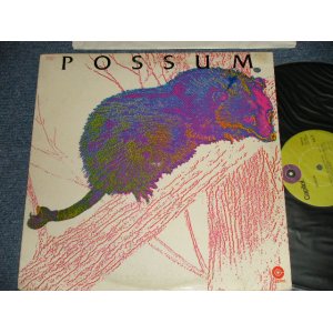 画像: POSSUM - POSSUM (With RY COODE) (Ex++/MINT- BB for PROMO) / 1971 US AMERICA ORIGINAL "PROMO" Used LP 