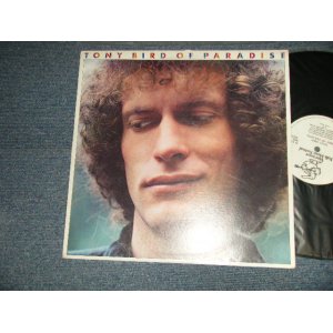 画像: TONY BIRD - BIRD OF PARADISE (Ex++/MINT-)  / 1978 CANADA ORIGINAL Used LP